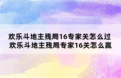 欢乐斗地主残局16专家关怎么过 欢乐斗地主残局专家16关怎么赢